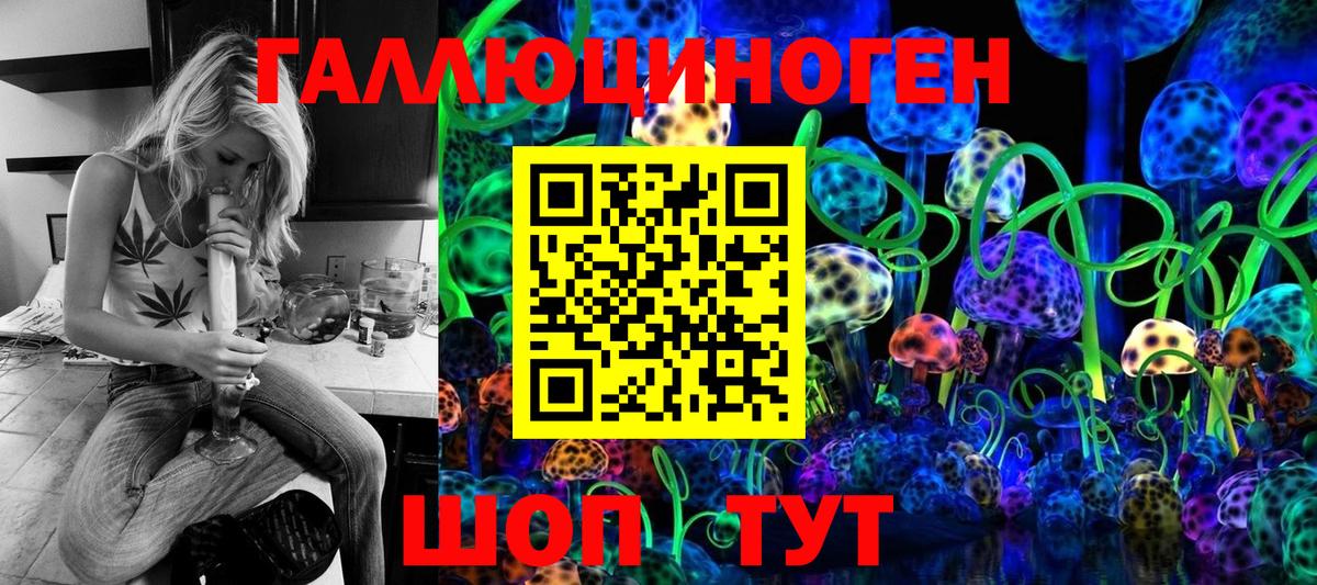 Галлюциногенные грибы Psilocybine cubensis Ростов Великий
