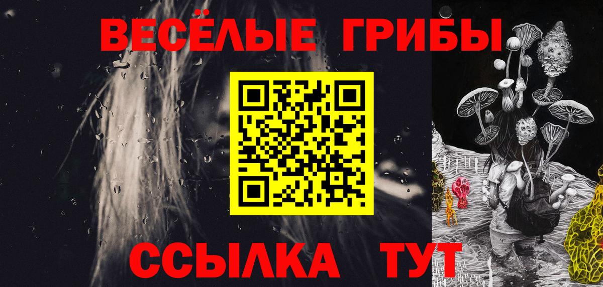 Ростов Великий  Галлюциногенные грибы Cubensis  Вход с VPN 
